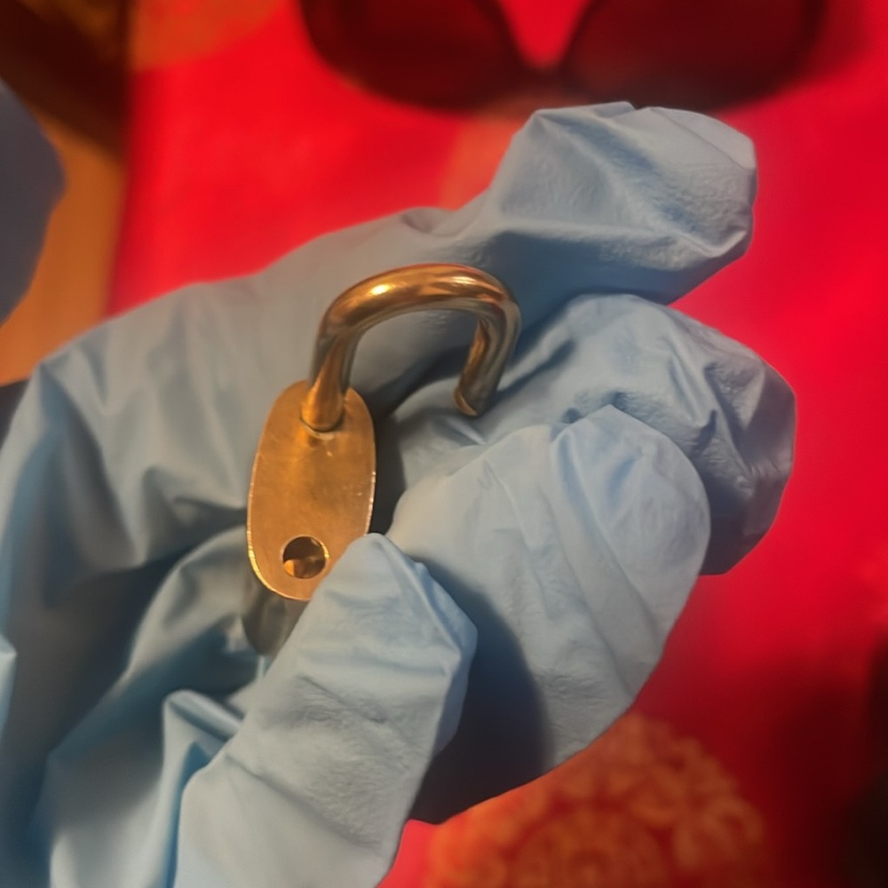 Louis Vuitton Gold Padlock and Key Set - Picture 11 of 16